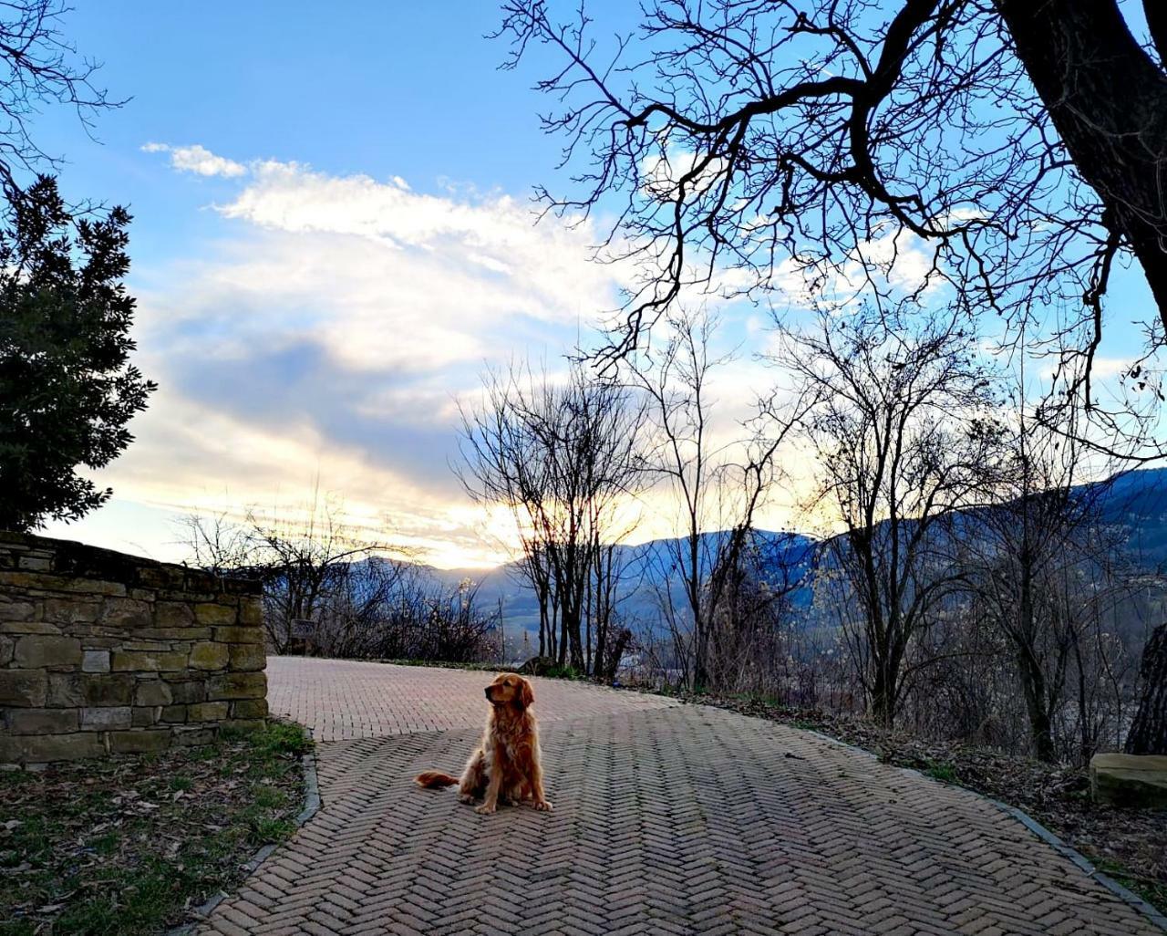 Agriturismo Il Salice Tizzano Val Parma Exteriör bild
